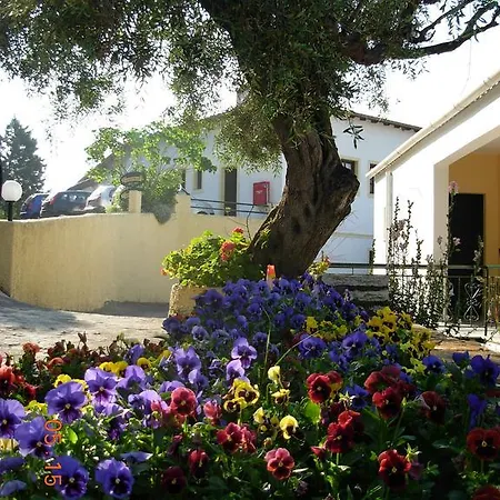 Marilena Ypsos